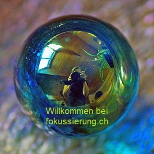 www.fokussierung.ch